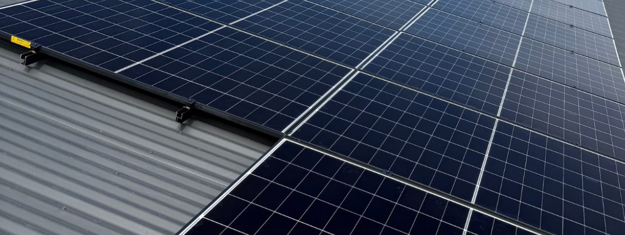 Close-up of jinko solar tiger neo panels on the tin roof of peter's berwick home