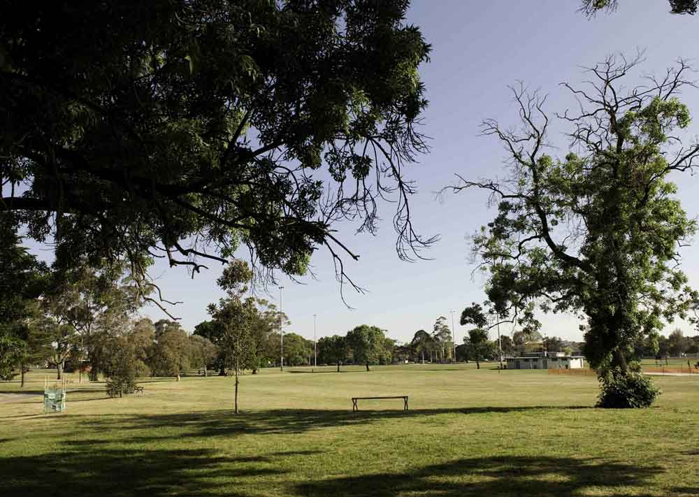 Knox foothills