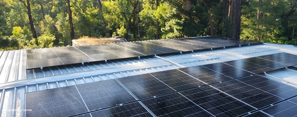 Aiko solar panels on a tin roof in emerald with forest canopy behind