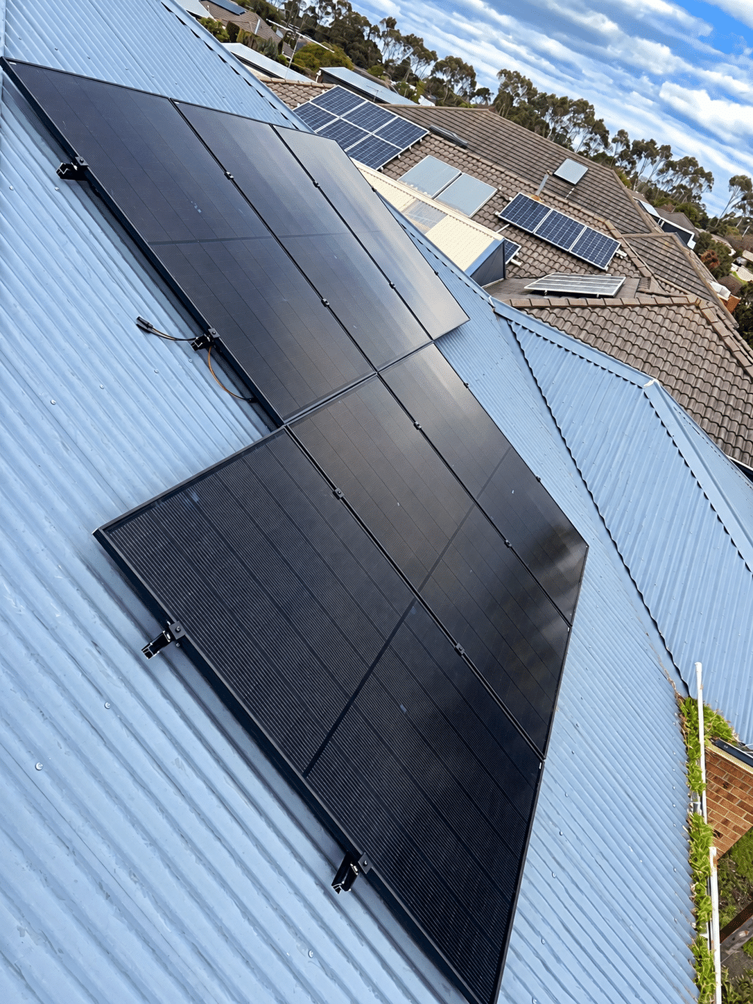 Jinko solar panels on the tin roof of a hastings home, installed by powerband electrical