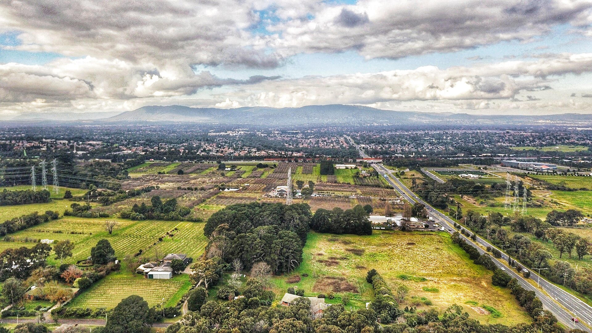 The dandenong ranges